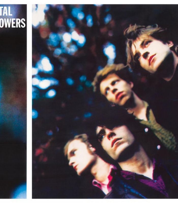 Fatal Flowers – Younger Days